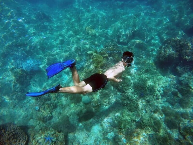 Da Nang/Hoi An: Cham Island Snorkeling or Diving Tour - Practical Tips to Make the Most of Your Day