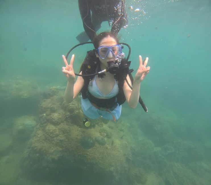 Da Nang/Hoi An: Diving in Cham Islands with an instructor - Who Should Consider This Tour?
