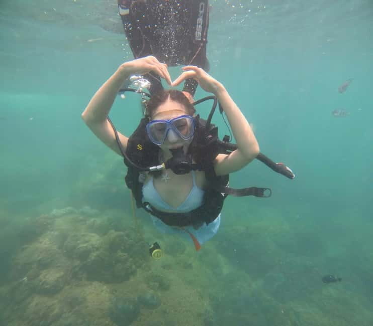 Da Nang/Hoi An: Diving in Cham Islands with an instructor - The Sum Up