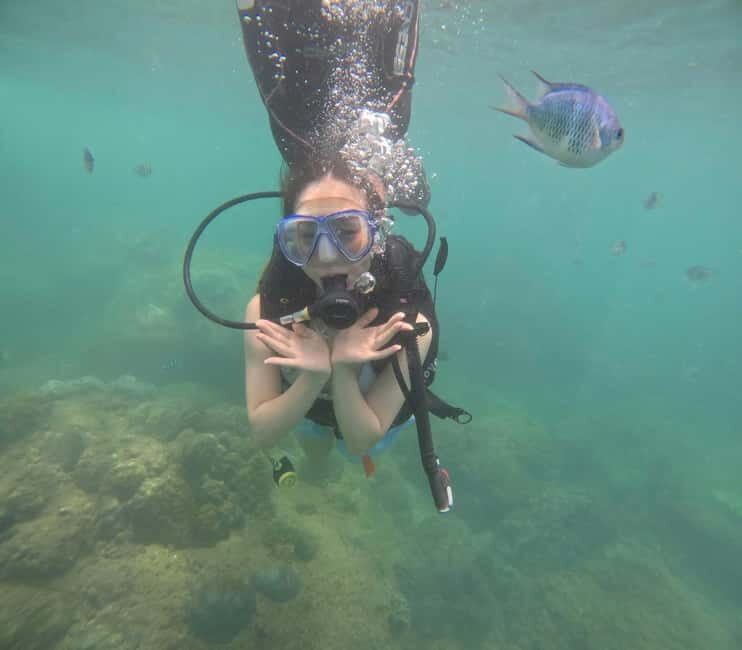 Da Nang/Hoi An: Diving in Cham Islands with an instructor - FAQ