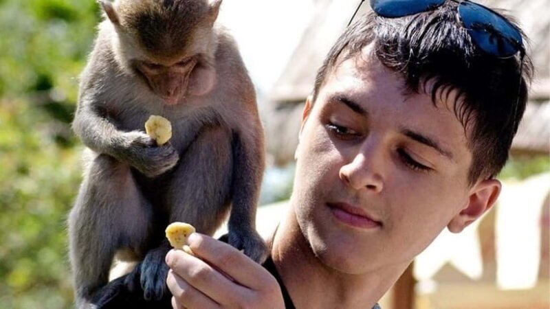 Da Nang/Hoi An: Marble Mountains-Am Phu Cave-Monkey Mountain - Final Thoughts: Who Will Enjoy This Tour?