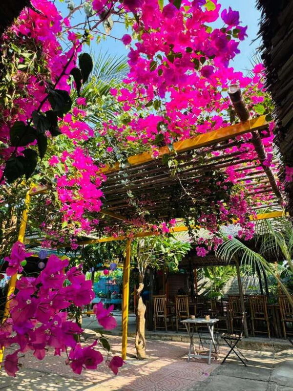 Da Nang: Marble Mountains, Hoi An, and Coconut Forest Tour - Key Points