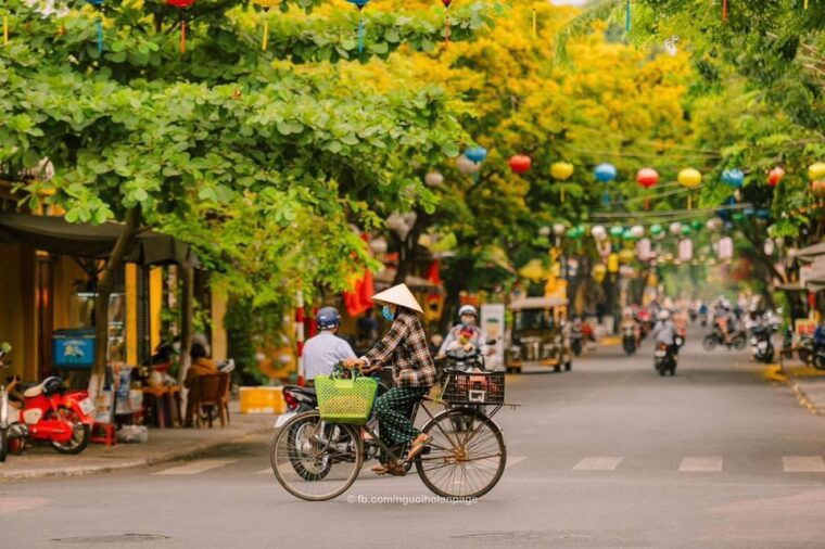 da-nang-my-son-sanctuary-and-hoi-an-private-car-day-tour