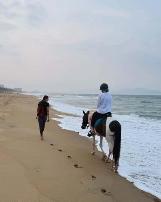 Da Nang: Nature & Horse-Riding Experience - Key Points