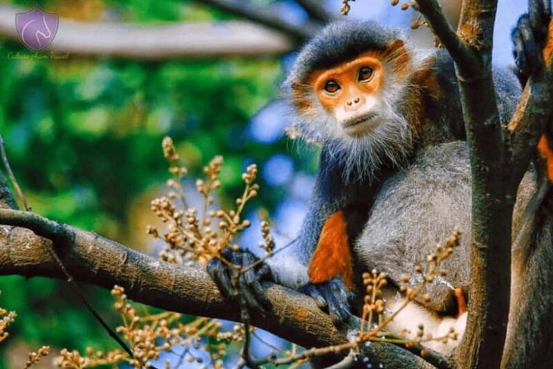 Da Nang: Private Half-day City Highlights Tour - The Experience for Different Travelers