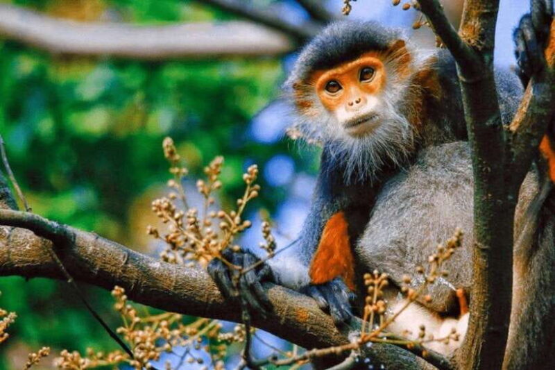 Da Nang: Private Half-day City Highlights Tour - Discover Da Nang in a Half Day: A Balanced Look at the Highlights