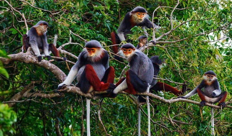 Da Nang: Private Half-day City Highlights Tour - What to Expect and What to Bring