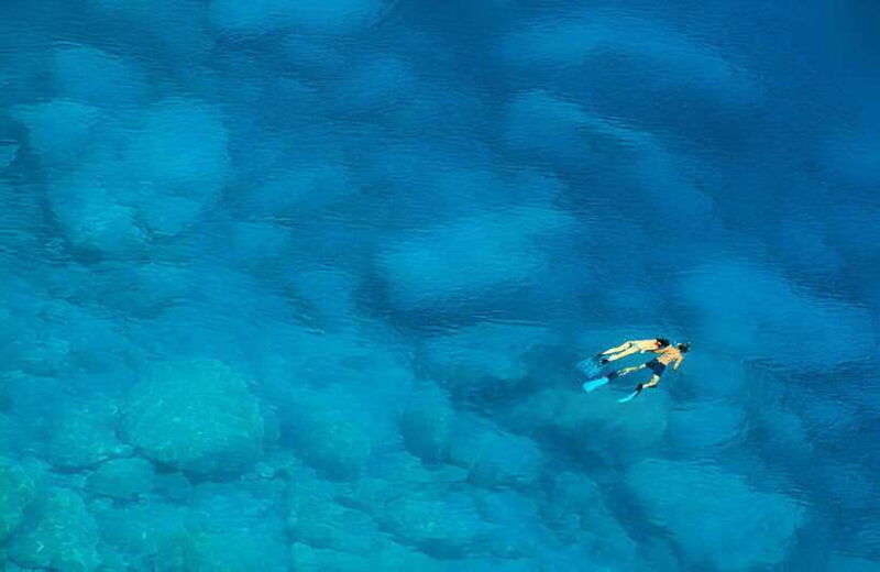 da-nang-son-tra-peninsula-exploration-snorkeling-fishing