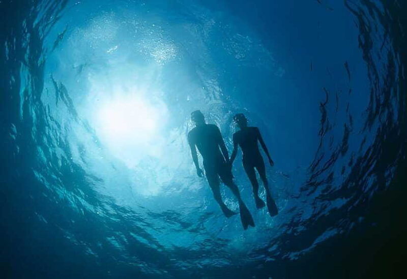 da-nang-son-tra-peninsula-exploration-snorkeling-fishing