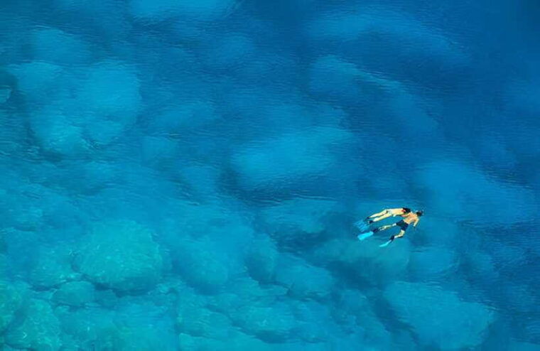 da-nang-son-tra-peninsula-exploration-snorkeling-fishing