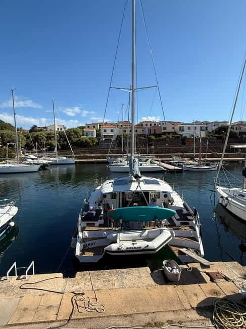 Da Stintino: Tour in catamarano Asinara Island - Key Points