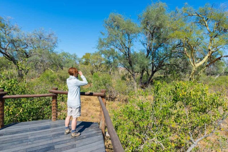 Daan Viljoen Sunrise Private Tour: A Wildlife Discovery Hike - Introduction: A Unique Way to Experience Namibia’s Wildlife