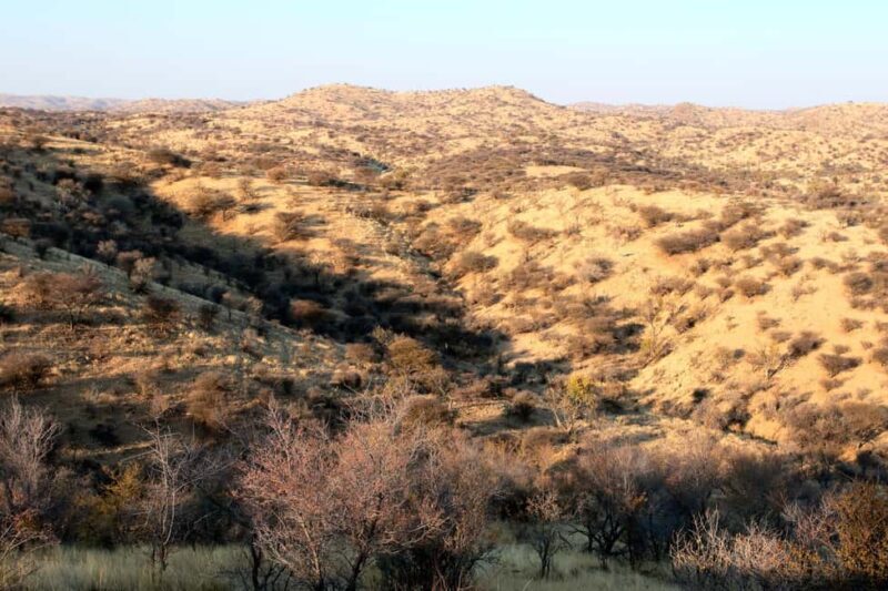 Daan Viljoen Sunrise Private Tour: A Wildlife Discovery Hike - The Practical Details