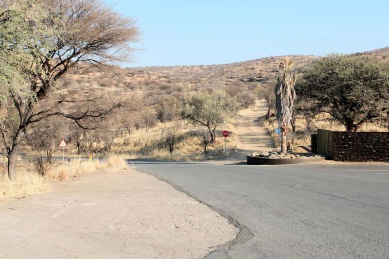 Daan Viljoen Sunrise Private Tour: A Wildlife Discovery Hike - FAQ