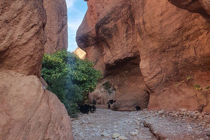 Dades Gorge-Monkey Finger's Canyon Hike in Boumalne Dades - FAQ