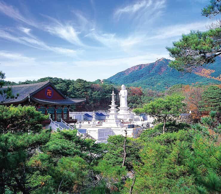 Daegu Day Tour with 83 Tower Visit & Palgongsan Cable Car - Key Points