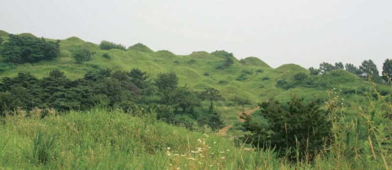 Daegu Day Tour with 83 Tower Visit & Palgongsan Cable Car - FAQs about the Daegu Day Tour