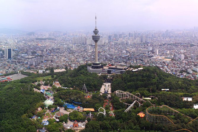 Daegu Hop on Hop off City Tour Bus Discount Ticket () - Final Thoughts