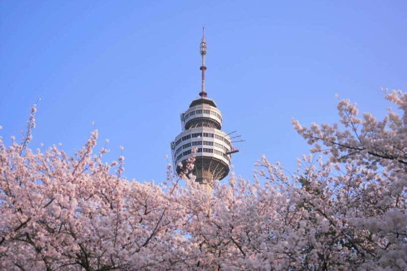 daegu-private-taxi-car-private-charter-tour