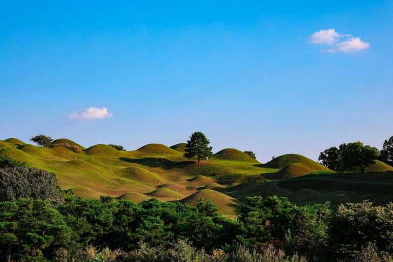 daegu-private-taxi-car-private-charter-tour