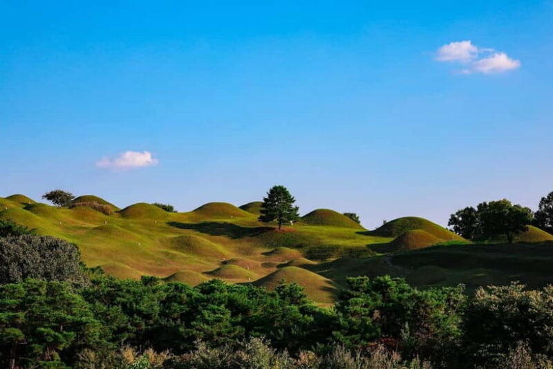 Daegu: Private Taxi Tour Car Charter - The Authenticity and Value of the Experience