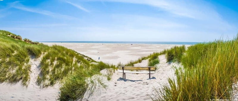 Dagebüll: Daytrip by boat to Amrum - The Sum Up