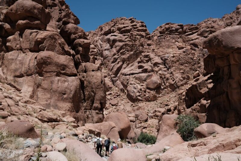 Dahab Safari from Sharm El-Sheikh: Canyon Salama & Blue Hole - Who Will Love This Tour?