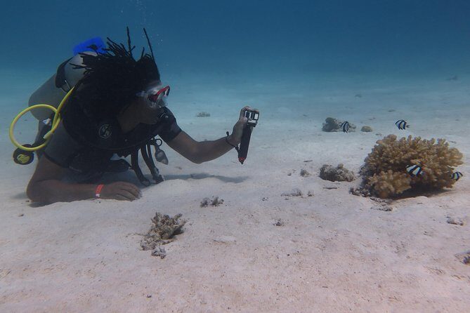 Daily 2 Dives with Equipment from Hurghada - Marine Sites: What Makes the Locations Special?