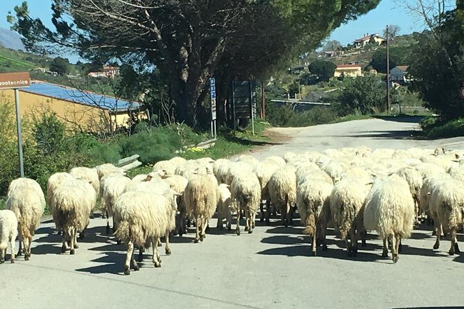 Daily Biking in the Rural Sicily - Why This Tour Offers Great Value