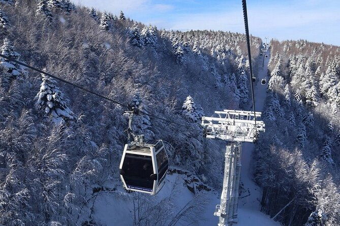 daily-bursa-uludag-mountain-cable-car-tour-with-lunch-from-istanbul-4