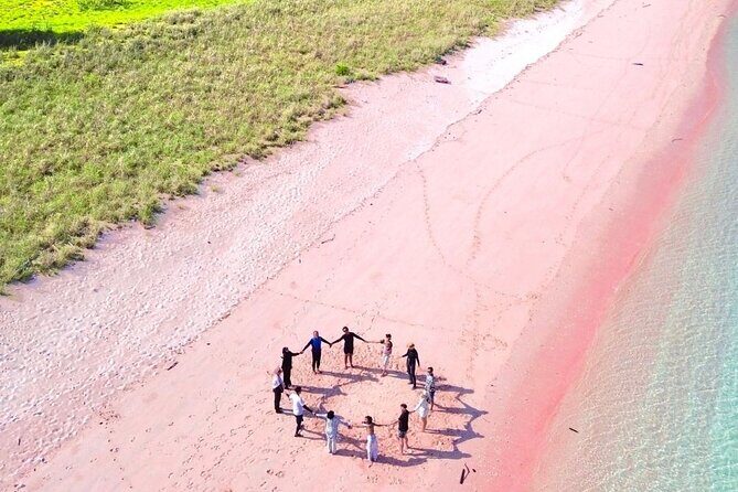 Daily Open Trip Komodo by Speedboat - Practical Details and Value