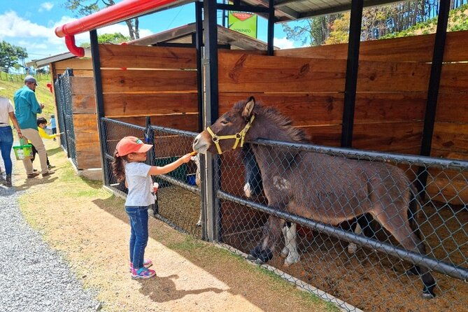 daily-pass-to-eco-park-of-cerro-la-cruz-in-boquete
