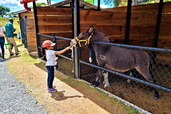 daily-pass-to-eco-park-of-cerro-la-cruz-in-boquete