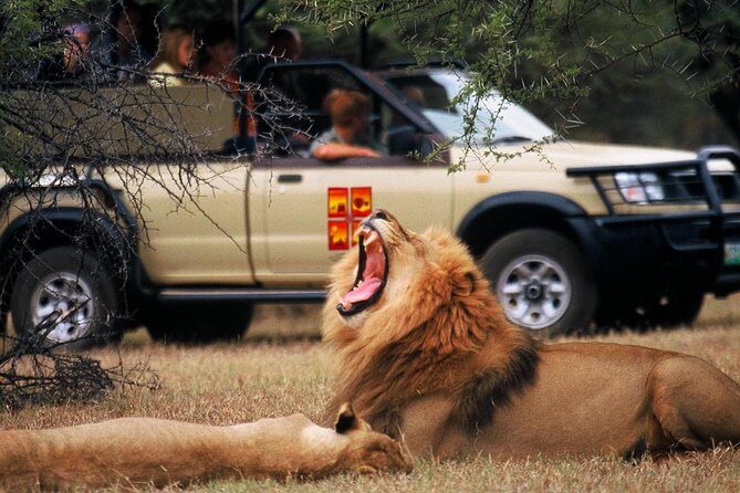 Daily Pilanesberg National Park Private Shuttle Services - The Transport Experience: Comfort and Convenience