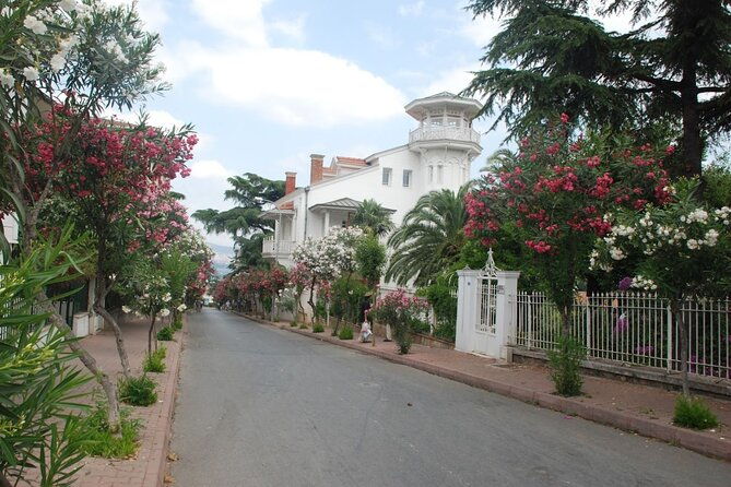 daily-princes-islands-tour-with-lunch-from-istanbul