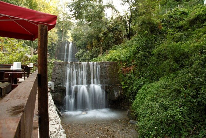 daily-sapanca-masukiye-mahmudiye-tour-with-lunch-from-istanbul