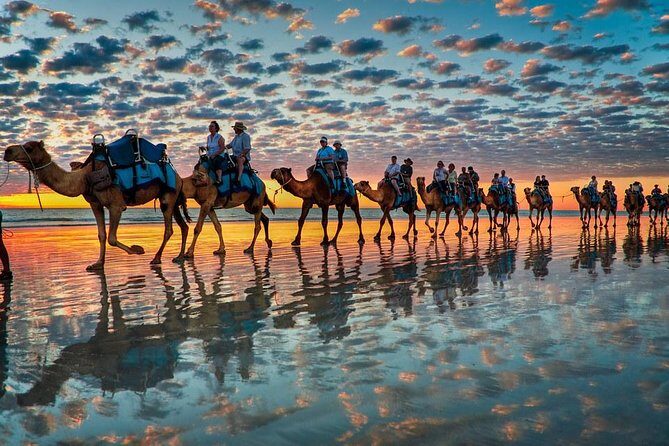 Daily walks at sunset with "barbecue - couscous" dinner - Key Points