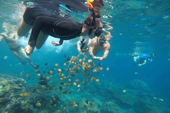 Daily West Nusa Penida Island and Snorkeling Tour with Lunch from Bali - Practical Tips and Considerations