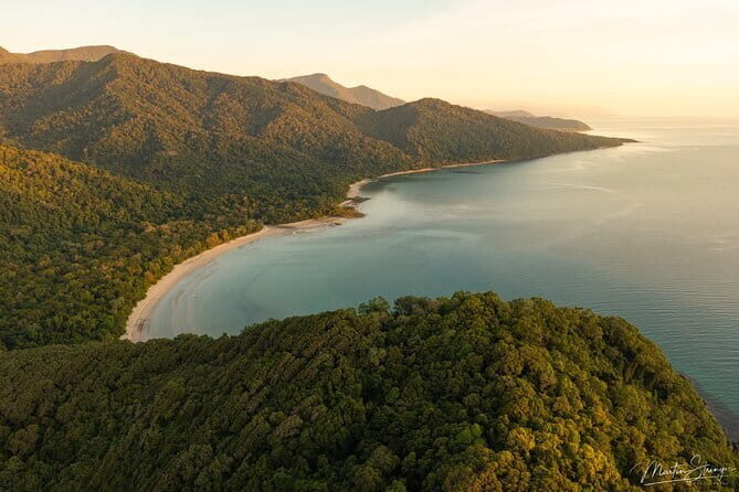 Daintree Ancient Giants Easy Rainforest Hike, Beach, Swim & Lunch - An Introduction to the Daintree Ancient Giants Tour