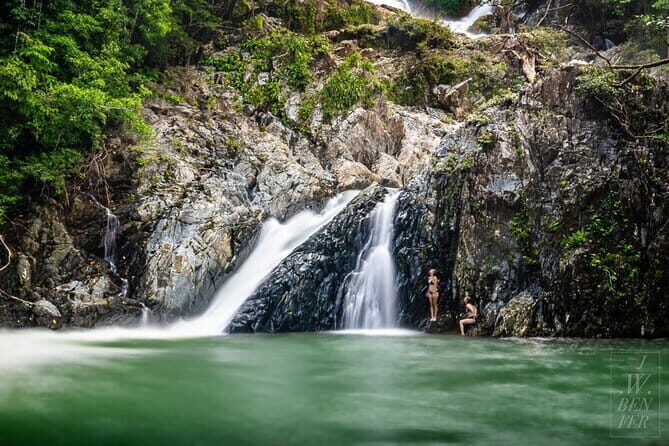 Daintree Ancient Giants Easy Rainforest Hike, Beach, Swim & Lunch - Who Would Love This Tour?