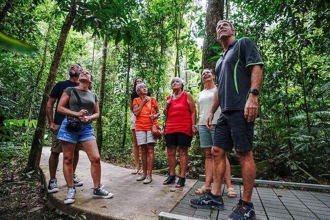 Daintree, Cape Tribulation & River Cruise from Port Douglas - The Itinerary in Detail