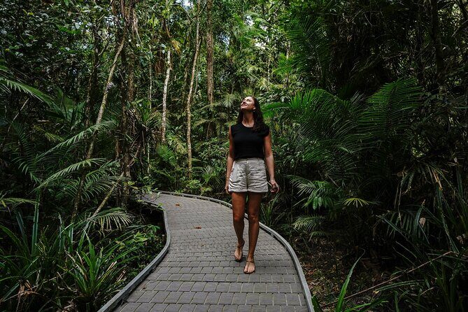 Daintree, Cape Tribulation & River Cruise from Port Douglas - Who Is This Tour Best Suited For?