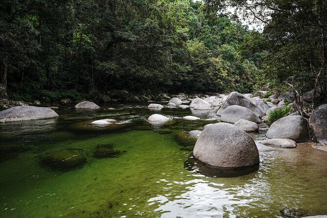 Daintree, Cape Tribulation & River Cruise from Port Douglas - FAQ