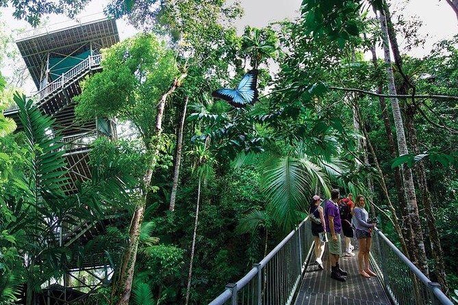 Daintree Discovery Centre Family Pass Ticket - What’s Included in the Family Pass Ticket?