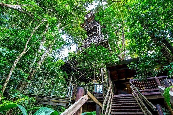 Daintree Discovery Centre Family Pass Ticket - Detailed Breakdown of the Itinerary