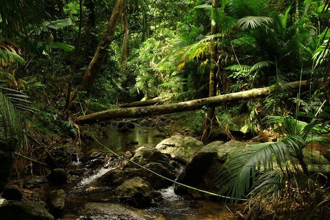 Daintree Discovery Centre Single Pass - FAQ