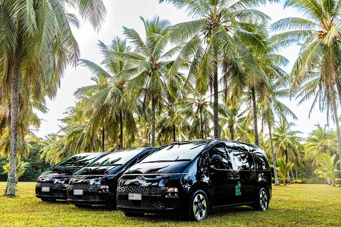Daintree Eco Lodge to Cairns ONE WAY Private Transfer 6 pax - FAQ