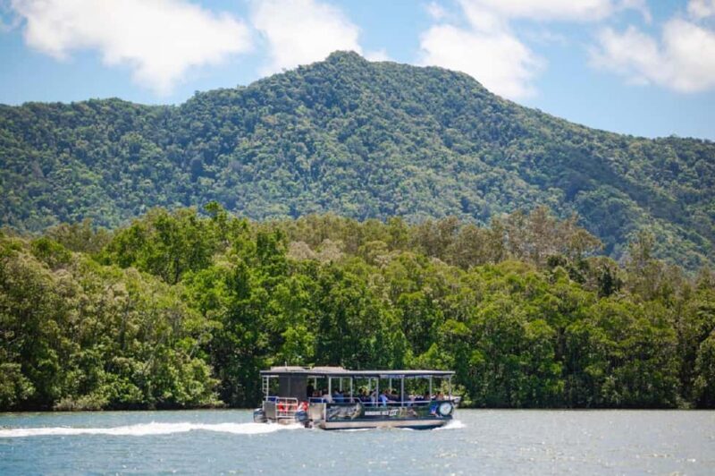 Daintree: Guided Daintree River Wildlife Cruise - The Sum Up