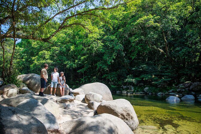Daintree Rainforest and Cape Tribulation Day Tour from Cairns - The Itinerary in Detail