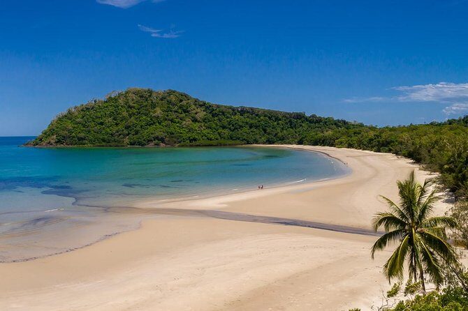 Daintree Rainforest and Cape Tribulation Day Tour from Cairns - Practical Tips for Travelers